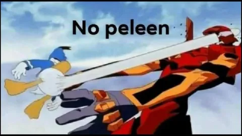 No peleen, por favor