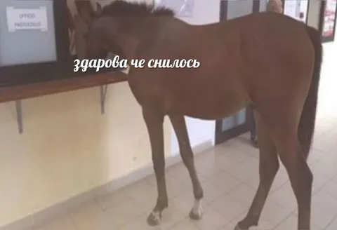 Здарова, че случилось