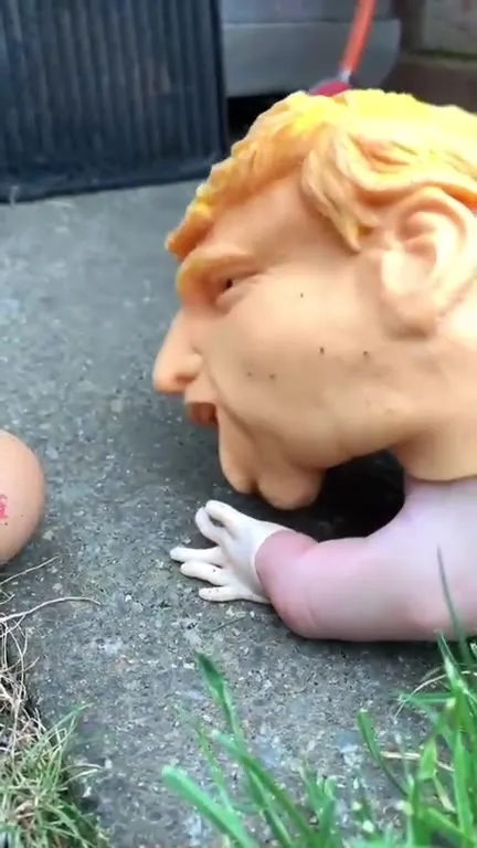 Трамп съедает яйцо