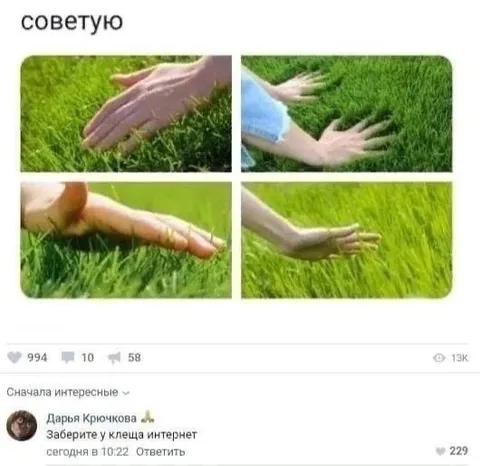 Заберите у клеща интернет