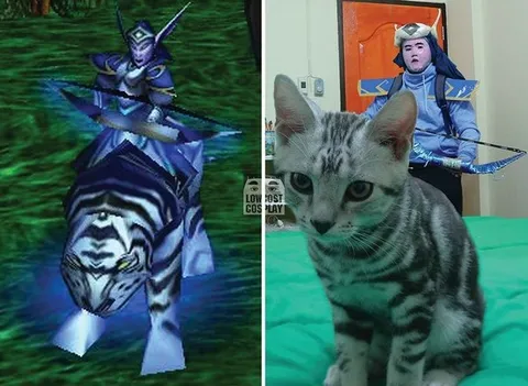 Воин на тигре и кот