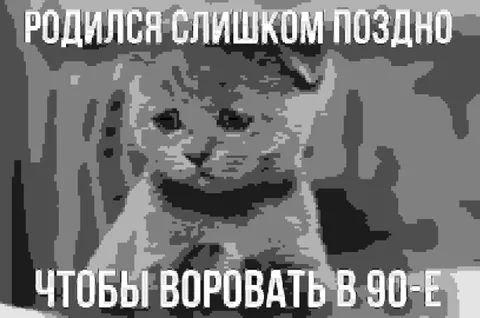 Кот родился слишком поздно