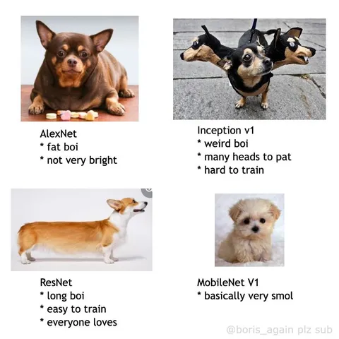 Dog Neural Network Architecture Comparison