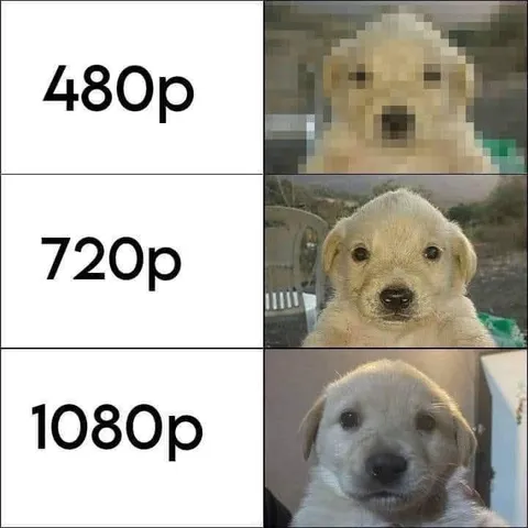 Puppy Resolution Upgrade