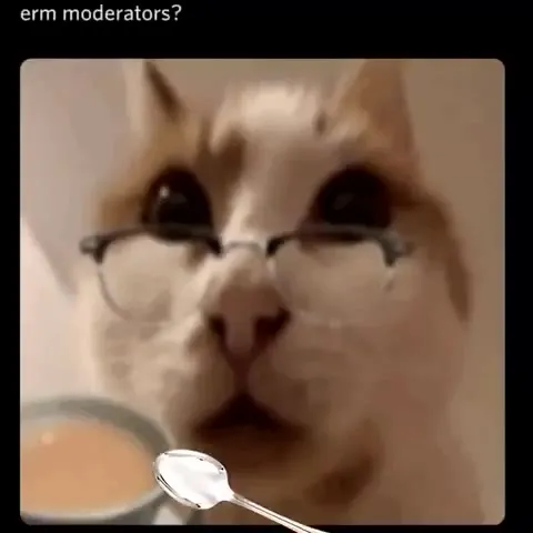 Cat Demands Moderator Intervention