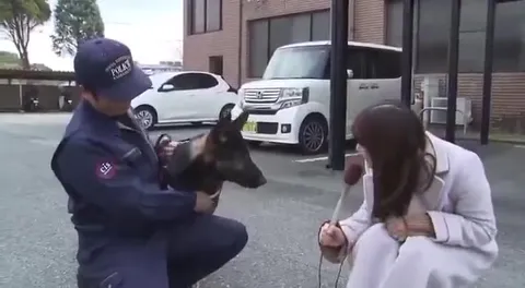 警察犬がマイクにカプッ！