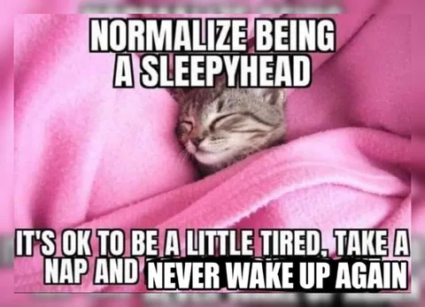 Normalize Being a Sleepyhead