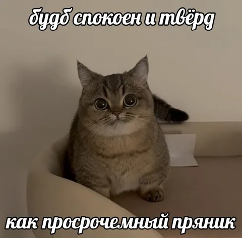 Спокойный как пряник