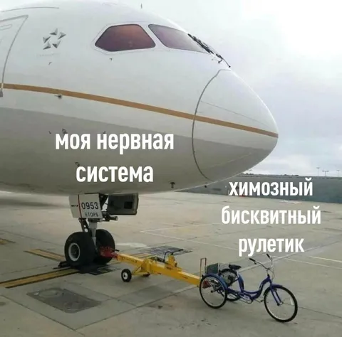 Нервная система и хрупкий рулетик