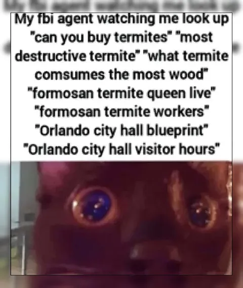 FBI Agent Watching Termite Searches