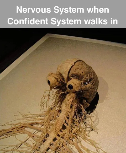 Nervous System Meets Confidence