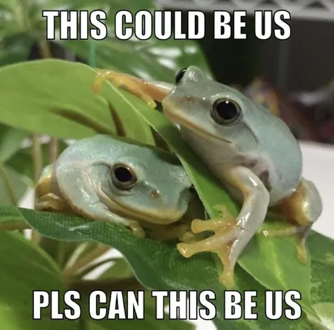 This Could Be Us Frogs