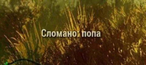 Сломано: попа