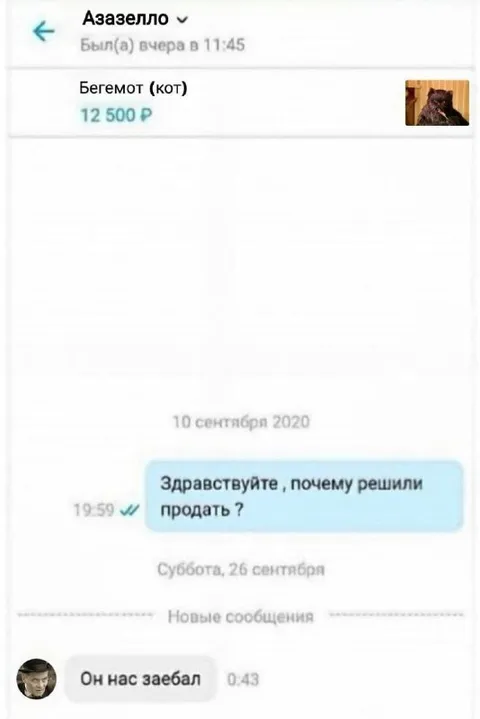 Продажа кота Бегемота