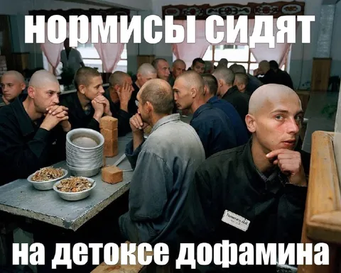 Нормиcы на детоксе дофамина
