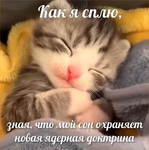 Кот спит под охраной доктрины