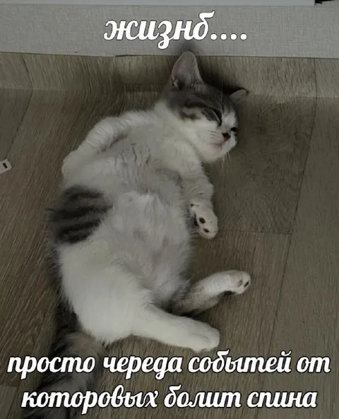 Жизнь болит спина