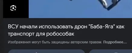 Дрон «Баба-Яга» для робособак