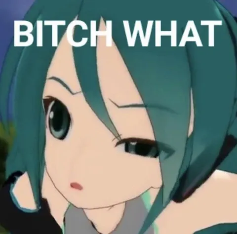 Anime Girl Says Bitch What