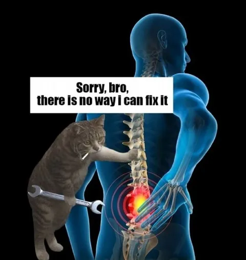 Cat Mechanic Can't Fix It