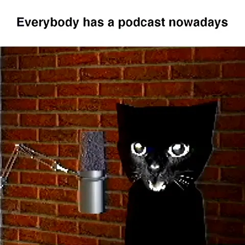 Black Cat Starts a Podcast