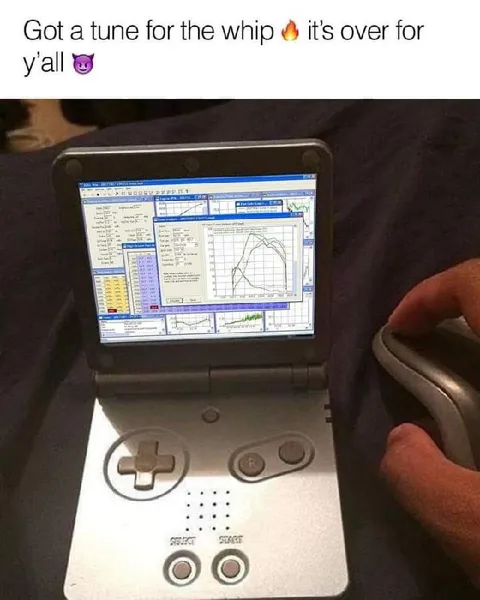 Got a Tune for the Whip