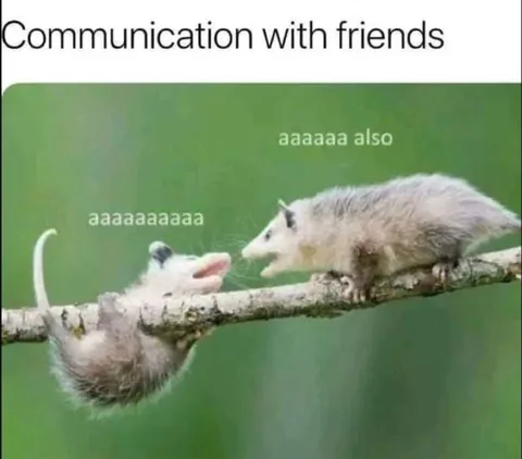 Communication With Friends
