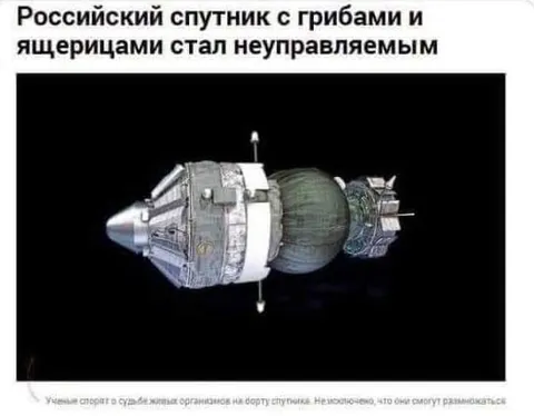 Спутник с грибами вышел из-под контроля