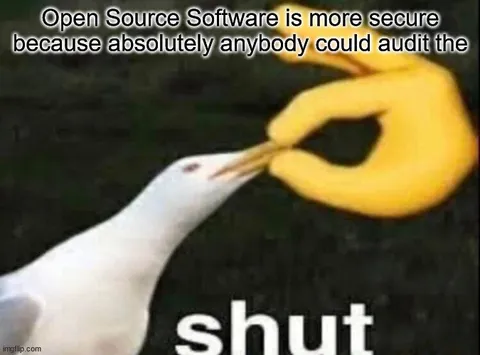 Open Source Software Audit