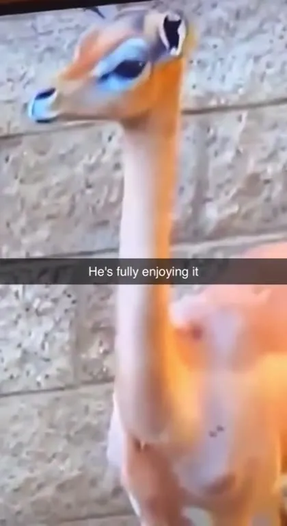 Giraffe Fully Enjoying It
