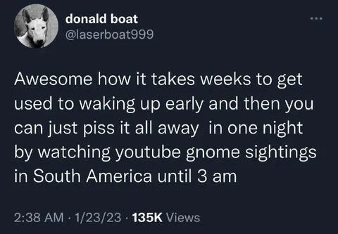 YouTube Gnome Sightings at 3 AM
