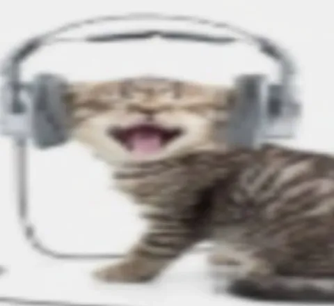 Кот в наушниках кайфует