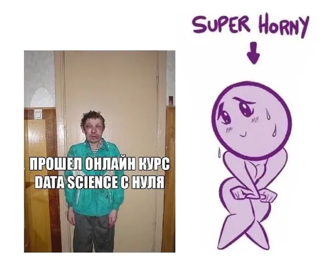 Прошел курс дата сайнс с нуля