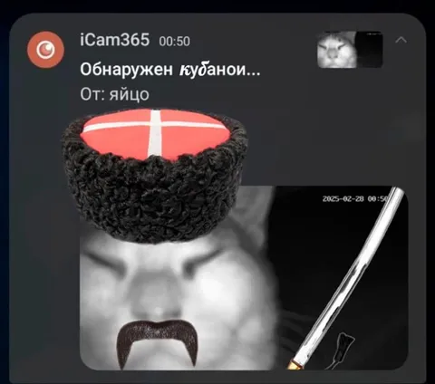 Камера обнаружила кубаноида
