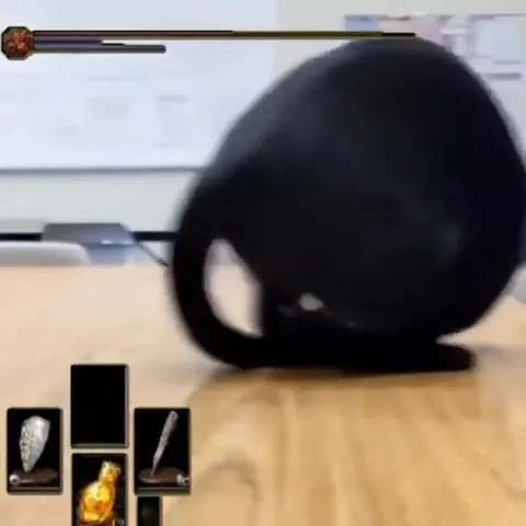 Cat Rolls Away and Dies