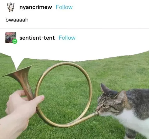 Cat Plays the French Horn