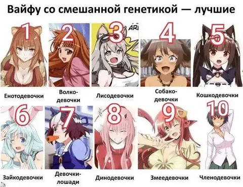 Вайфу со смешанной генетикой