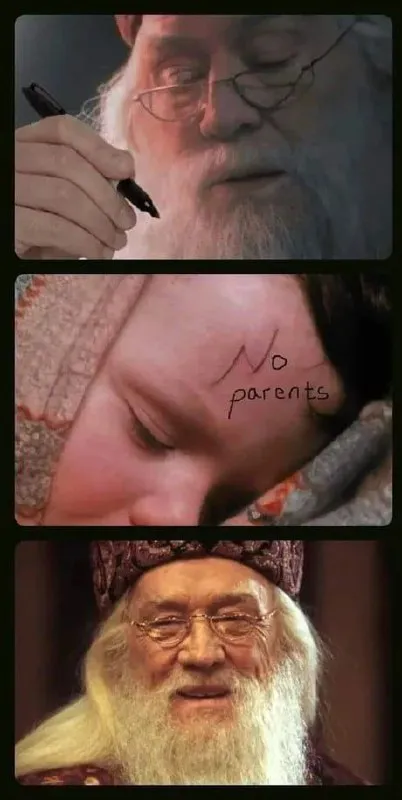 Dumbledore Approves the Parents
