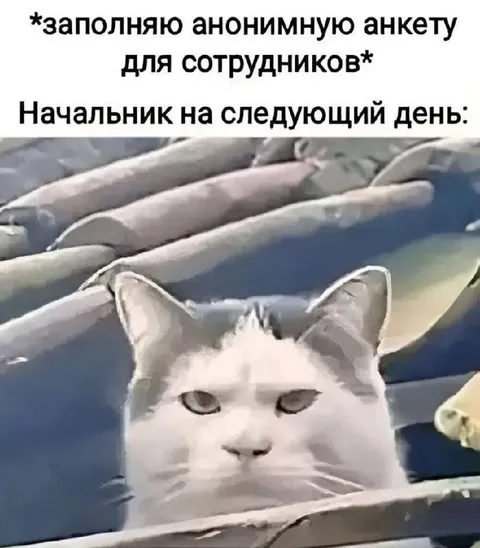 Начальник после анонимной анкеты