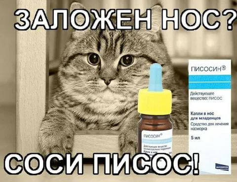 Соси Писос при заложенном носе