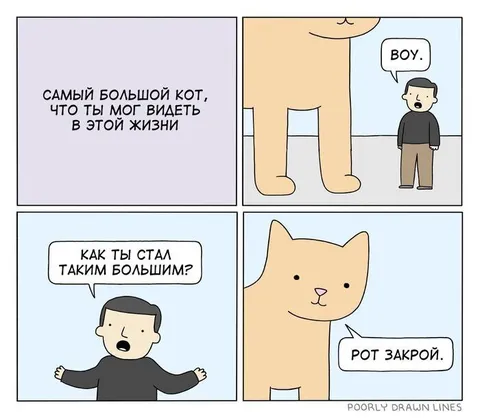 Самый большой кот