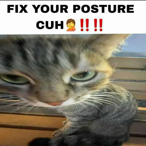 Fix Your Posture Cuh Cat