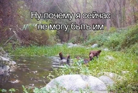 Почему я не могу быть им