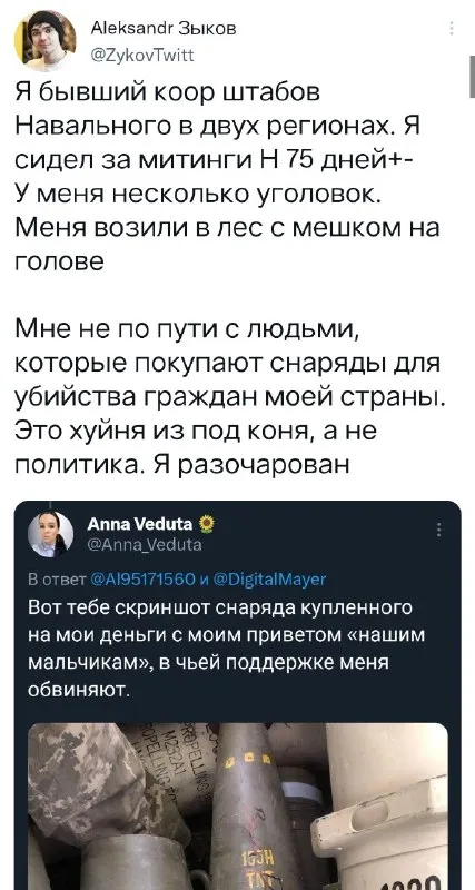 Скриншот купленных снарядов