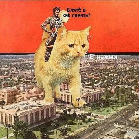 Как слезть с гигантского кота