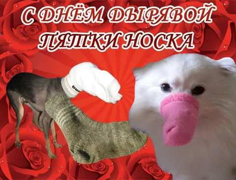 День рыжавой пятнистой Лоска