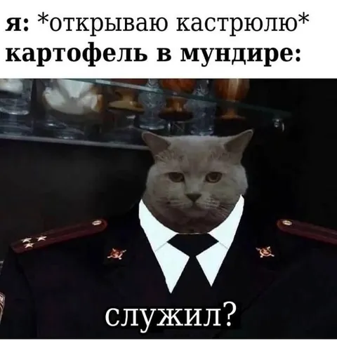 Картофель в мундире служил