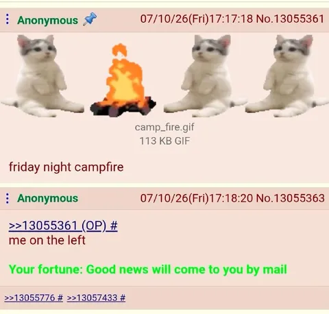 Friday Night Campfire Cats