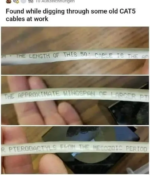 Old CAT5 Cable Discovery