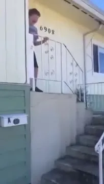 Хаски делает что хочет
